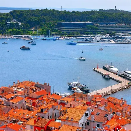 Modern Dea With Jacuzzi And Pool In Porec 别墅 *