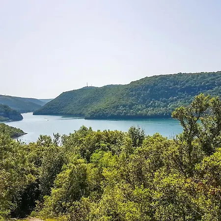 Modern Dea With Jacuzzi And Pool In Porec Villa Flengi