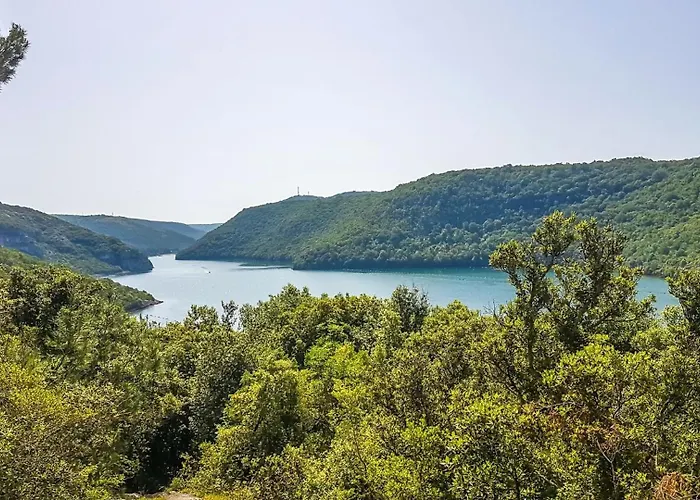 Modern Dea With Jacuzzi&pool In Porec Villa Flengi